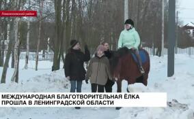 Международная благотворительная елка прошла в Ленинградской области