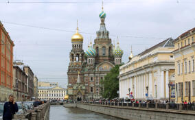 Названы регионы, из которых чаще всего приезжали в Петербург