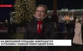 На Дворцовой площади завершается установка главной новогодней елки города