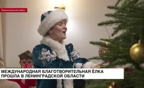 В Ленинградской области прошла международная благотворительная елка