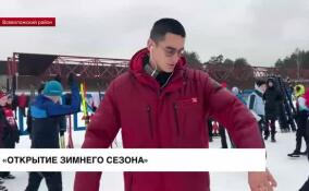 В Токсово проходят областные соревнования по лыжным гонкам