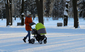 В Петербурге глыба льда обрушилась на коляску. Двухлетняя малышка в больнице