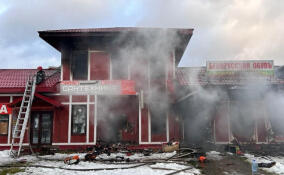 Прокуратура назвала причину пожара на городском рынке в Кингисеппе