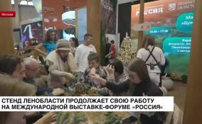 В Москве на международной выставке «Россия» продолжает свою работу стенд Ленобласти