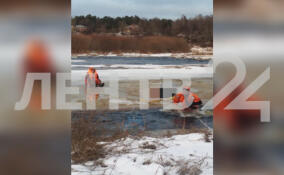 Труп женщины нашли на замерзшей реке в Кингисеппе