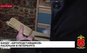 Банду «автоподставщиков» раскрыли в Петербурге