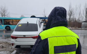 Нелегальных таксистов поймали в Ломоносовском и Всеволожском районах