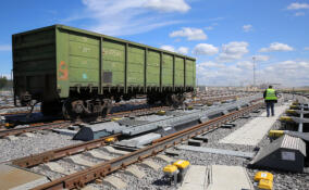 На Октябрьской железной дороге увеличился грузооборот с Индией и Ираном