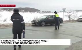 Для жителей Гатчинского и Ломоносовского районов сотрудники ОГИБДД провели рейд безопасности