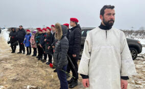 Останки почти 3 тысяч погибших в ходе Великой Отечественной войны захоронили в Ломоносовском районе