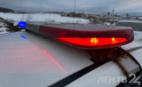 Бизнесмена Тютина из Ленобласти вновь задержали за заказное убийство