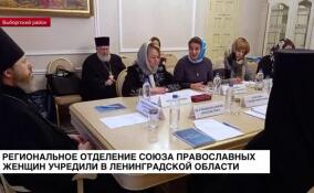 В Ленинградской области учредили региональное отделение Союза православных женщин