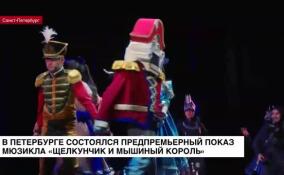 В Петербурге состоялся предпремьерный показ мюзикла «Щелкунчик и мышиный король»