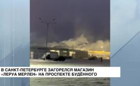 В Санкт-Петербурге загорелся магазин «Леруа Мерлен» на проспекте Буденного
