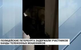 Полицейские Петербурга задержали участников банды телефонных мошенников