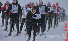 В Ленобласти открылась регистрация на «Лыжню России 2024»