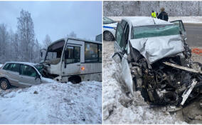 Легковушку смяло под автобусом на трассе в Ленобласти, водитель погиб на месте