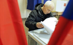 Петербург не будет голосовать дистанционно-электронно на выборах президента