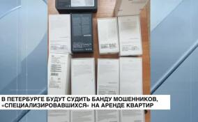 В Петербурге будут судить банду мошенников, «специализировавшихся» на аренде квартир