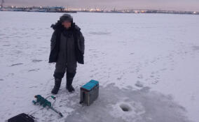 Восемь рыбаков получили штрафы за выход на лёд в Петербурге