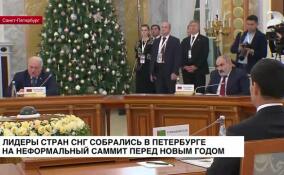 Лидеры стран СНГ собрались в Петербурге на неформальный саммит перед Новым годом