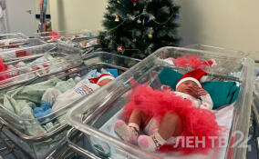 Для младенцев Гатчинского перинатального центра устроили фотоссесию в футболках «Команда47»