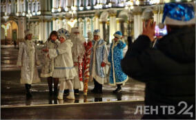 Забег Дедов Морозов пройдет 1 января в Выборге
