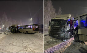 На трассе в Ленобласти столкнулись грузовик Scania и пассажирский автобус – фото