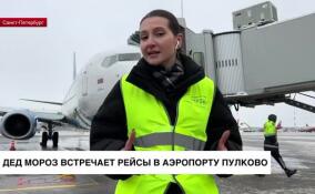 Дед Мороз встречает рейсы в аэропорту Пулково