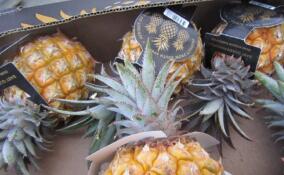 Более 12 тысяч тонн ананасов привезли в Петербург перед Новым годом
