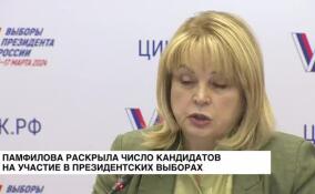 Элла Памфилова раскрыла число кандидатов на участие в президентских выборах