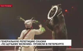 Генеральная репетиция сказки «По щучьему велению» прошла в Петербурге