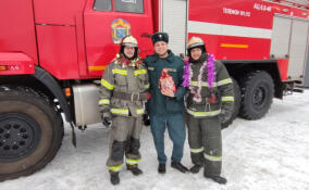 В Ленобласти усилен противопожарный контроль на время новогодних праздников