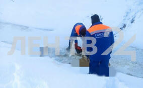 Вмёрзший в лёд труп женщины нашли в ручье в Синявино