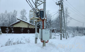 Александр Дрозденко держит на контроле ситуацию с электроснабжением в Ленобласти
