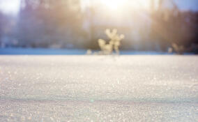 В Петербурге 7 января стало одним из самых морозных в XXI веке