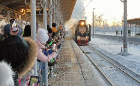 Сказочный поезд Деда Мороза прибыл в Петергоф
