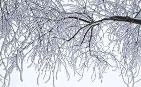 До -29 градусов пообещали жителям Ленобласти 8 января