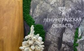 Стенд Ленобласти пользуется популярностью у посетителей выставки «Россия»