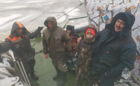 Сотрудники МЧС спасли пять человек, дрейфовавших на оторвавшейся льдине на Финском заливе