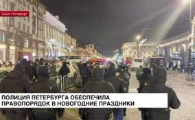 Полиция Петербурга обеспечила правопорядок в новогодние праздники
