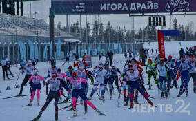 Главный лыжный старт Ленобласти пройдет в Приозерском районе 10 февраля