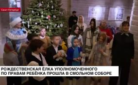 Рождественская елка уполномоченного по правам ребенка прошла в Смольном соборе