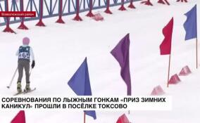 Соревнования по лыжным гонкам «Приз зимних каникул» прошли в поселке Токсово