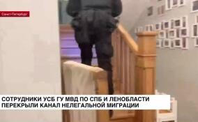 Сотрудники УСБ МВД перекрыли крупный канал нелегальной миграции в Петербурге и Ленобласти