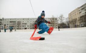 Коньки, лыжи и ватрушки: о спортивных забавах в Ленобласти 13 и 14 января