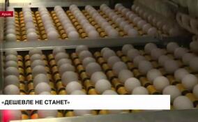 В Росптицесоюзе назвали стоимость от 110 до 125 рублей за десяток яиц нормальной и справедливой