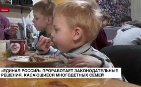 «Единая Россия» проработает законодательные решения, касающиеся многодетных семей