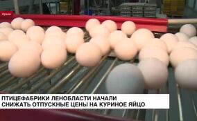 Птицефабрики Ленинградской области начали снижать отпускные цены на яйца