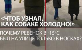 Босой ребенок с собакой в мороз: в Екатеринбурге мать решила жестко проучить сына